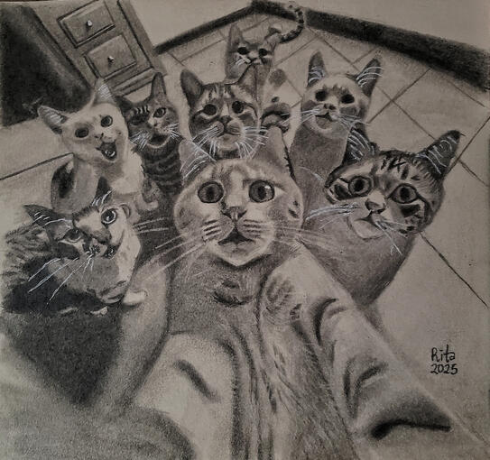 Clowder of cats - Graphite on paper (2025)
